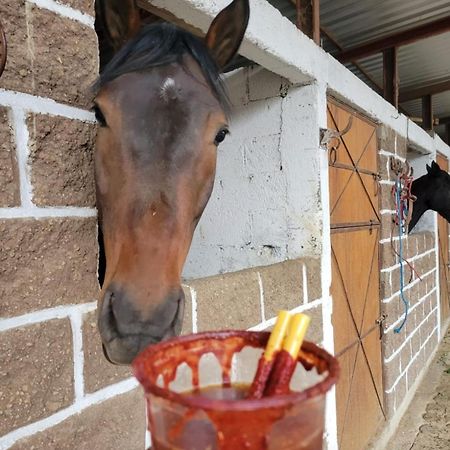 Vive En Un Rancho Hotell Puebla Exteriör bild