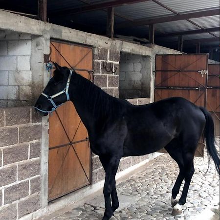 Vive En Un Rancho Hotell Puebla Exteriör bild